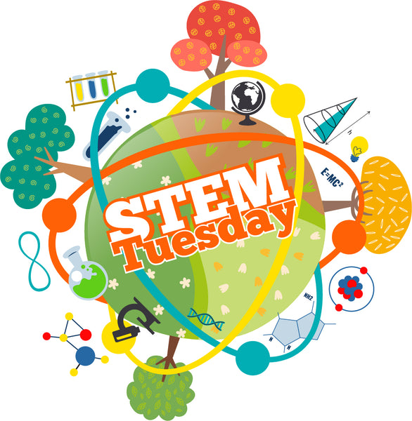 STEM Tuesday– Architecture– Interview with Nancy Castaldo!