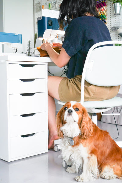 Hey y’all, Amy here