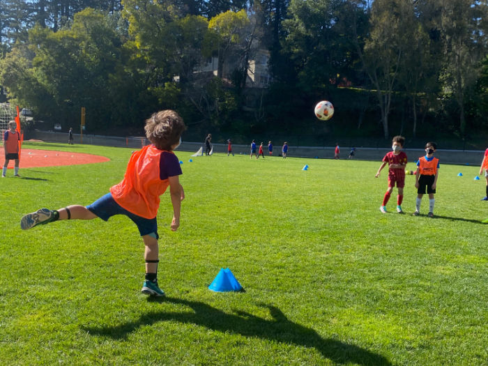 Half-Day Camps in the East Bay